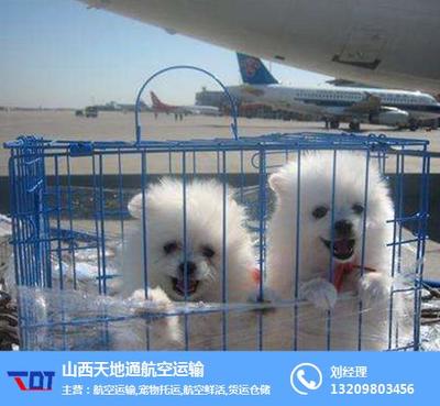 山西天地通航空运输代理有限公司成功申请航空运输代理资质报告