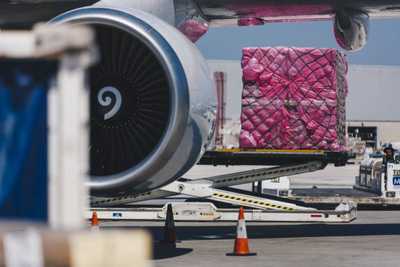 进口商海关税则号 (HTS) 编码指南 航空运输代理的关键操作要点
