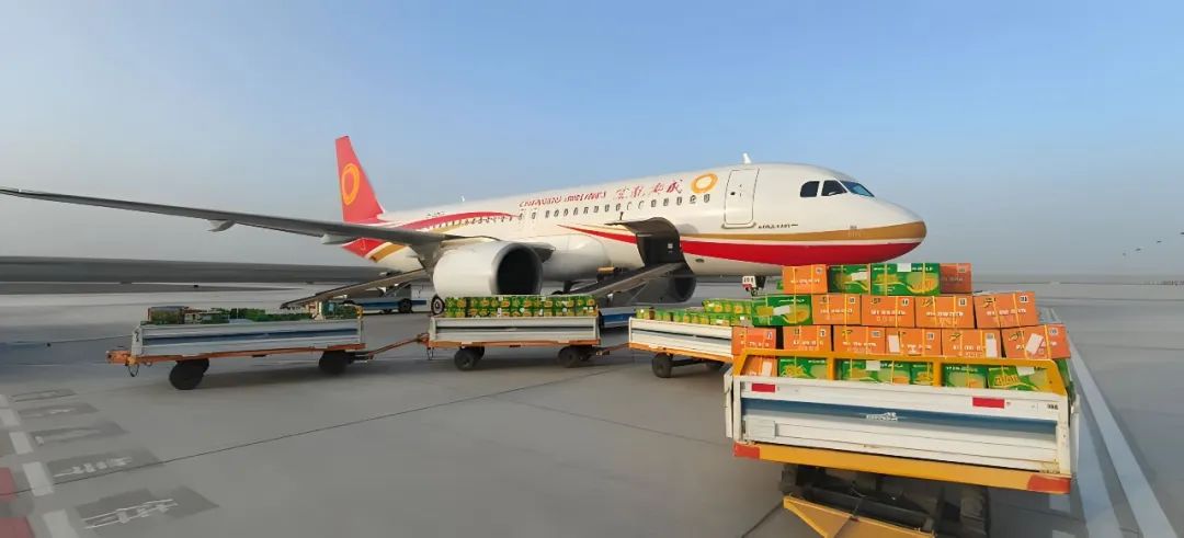 阿拉尔机场建设航空货运代理业务即将开启 航空运输代理的新篇章